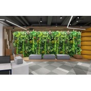 Interior Artificial Plants