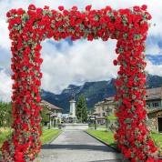 Dazzling Delight Flower Arrangement