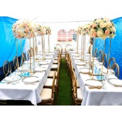 Interior Wedding Decoration